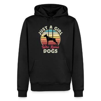 Doberman Dog Lover Silhouette Vintage Sunset - Sweat à capuche Premium bio Homme - noir - Devant - Nico (187cm)