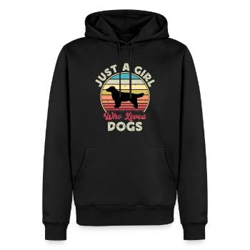 Field Spaniel Hundeliebhaber Silhouette Vintage Sonnenuntergang - Männer Premium Bio Hoodie - Schwarz - Vorne - Nico (187cm)