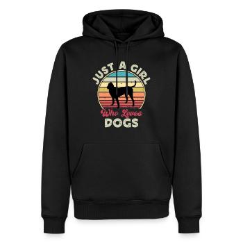 Gascon Saintongeois Dog Silhouette Retro Sunset - Sweat à capuche Premium bio Homme - noir - Devant - Nico (187cm)