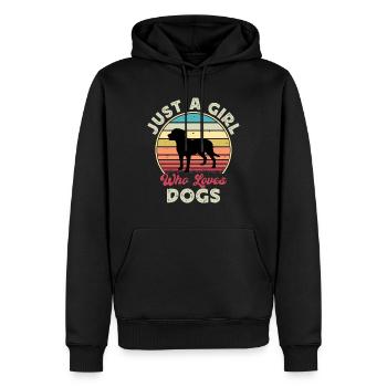 Grand Suisse Mountain Dog Silhouette Retro Sunset - Sweat à capuche Premium bio Homme - noir - Devant - Nico (187cm)