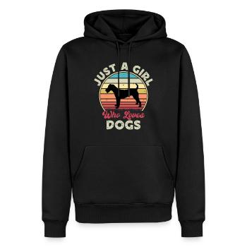 Irish Terrier Dog Lover Silhouette Vintage Sunset - Sweat à capuche Premium bio Homme - noir - Devant - Nico (187cm)