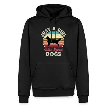 Irish Setter Hundeliebhaber Silhouette Vintage Sonnenuntergang - Männer Premium Bio Hoodie - Schwarz - Vorne - Nico (187cm)