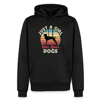 Old Danish Pointer Dog Silhouette Retro Sunset - Men’s Premium Organic Hoodie - black - Front - Nico (187cm)