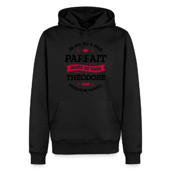 THÉODORE PARFAIT - PRENOM THÉODORE - Sweat à capuche Premium bio Homme - noir - Devant - Nico (187cm)