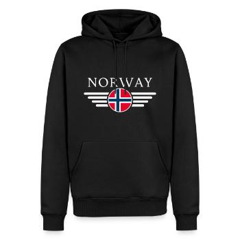 T-shirt Norvège : Nature, Aurores boréales - Sweat à capuche Premium bio Homme - noir - Devant - Nico (187cm)