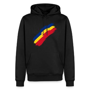 Roumanie drapeau couleurs - Sweat à capuche Premium bio Homme - noir - Devant - Nico (187cm)