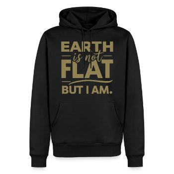Satire Flat Earth Ironic Jokes - Men’s Premium Organic Hoodie - black - Front - Nico (187cm)
