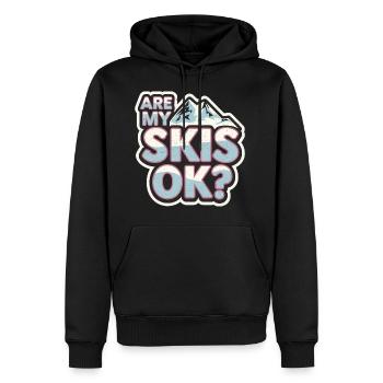 Are My Skis Ok 9 - Männer Premium Bio Hoodie - Schwarz - Vorne - Nico (187cm)