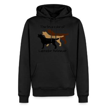 True Color Labrador - Männer Premium Bio Hoodie - Schwarz - Vorne - Nico (187cm)