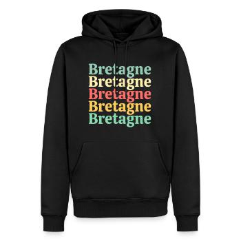 Brittany Bretons Bretons I love brittany breiz - Men’s Premium Organic Hoodie - black - Front - Nico (187cm)