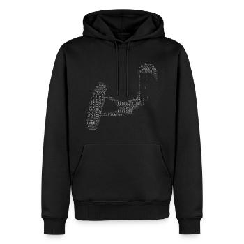 Men's Kitesurfing Kiting Kite Kitesurfers - Men’s Premium Organic Hoodie - black - Front - Nico (187cm)
