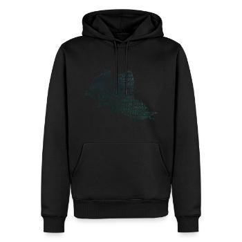 Zweierbob Herren Bob fahren Bobsport Damen - Männer Premium Bio Hoodie - Schwarz - Vorne - Nico (187cm)