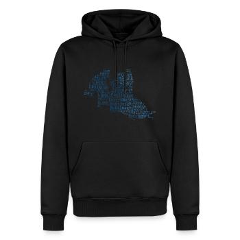 Zweierbob Bob fahren Bobsport Bob Herren Damen - Männer Premium Bio Hoodie - Schwarz - Vorne - Nico (187cm)