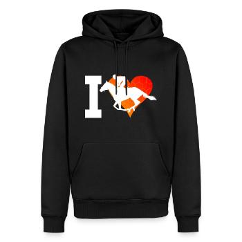 Dressour Racing Riding Riders Show Jumping - Men’s Premium Organic Hoodie - black - Front - Nico (187cm)