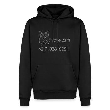 Euler'sche Zahl - Männer Premium Bio Hoodie - Schwarz - Vorne - Nico (187cm)