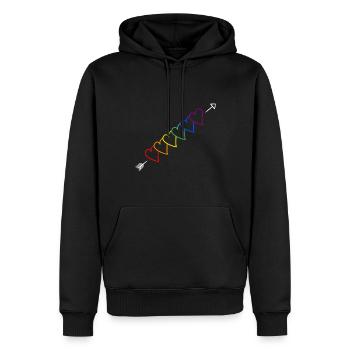 Flèche arc-en-ciel LGBT - Sweat à capuche Premium bio Homme - noir - Devant - Nico (187cm)