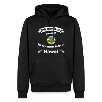 Urlaub in Hawai - Männer Premium Bio Hoodie - Schwarz - Vorne - Nico (187cm)