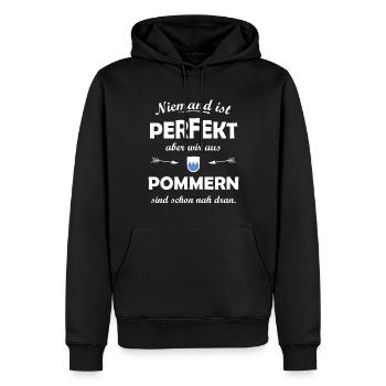 Die Provinz Pommern - Männer Premium Bio Hoodie - Schwarz - Vorne - Nico (187cm)