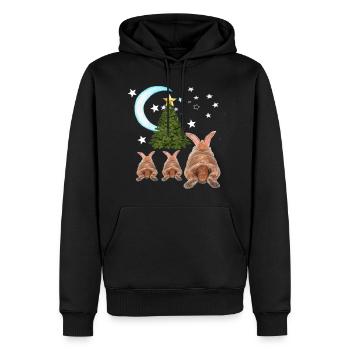 HASE , Weihnachten - Männer Premium Bio Hoodie - Schwarz - Vorne - Nico (187cm)