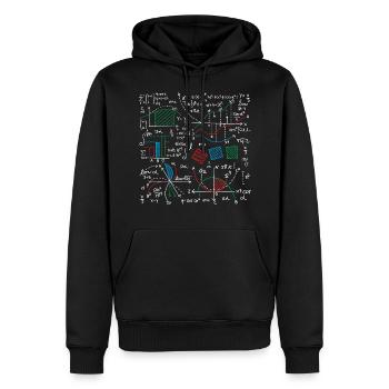 Enthusiast for mathematical formulas - Men’s Premium Organic Hoodie - black - Front - Nico (187cm)
