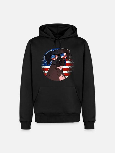 Usa - Men’s Premium Organic Hoodie - black