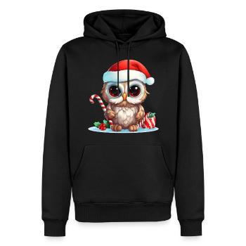 Weihnachten Eule - Männer Premium Bio Hoodie - Schwarz - Vorne - Nico (187cm)