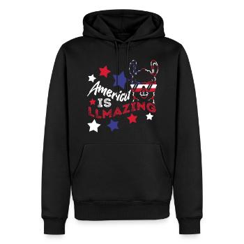 USA Funny Llama Drapeau américain 4 juillet - Sweat à capuche Premium bio Homme - noir - Devant - Nico (187cm)