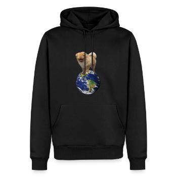 Meine Welt - Männer Premium Bio Hoodie - Schwarz - Vorne - Nico (187cm)