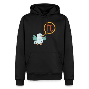 Cadeau de t-shirt drôle de pi pour les nerds de maths - Sweat à capuche Premium bio Homme - noir - Devant - Nico (187cm)
