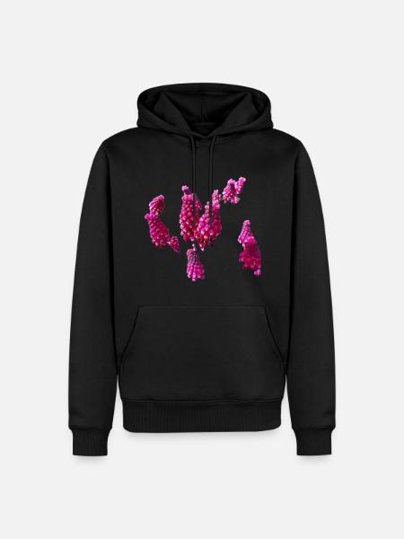 Fleurs,Fleur,Printemps,Fleurs,Jacinthes - Sweat à capuche Premium bio Homme - noir