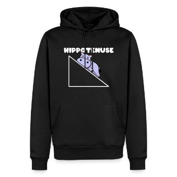 Hippotenuse Pythagore Professeur de mathématiques mathématicien - Sweat à capuche Premium bio Homme - noir - Devant - Nico (187cm)