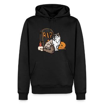 Süße Ragdoll Halloween Katze - Männer Premium Bio Hoodie - Schwarz - Vorne - Nico (187cm)