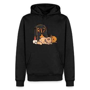 Exotische Kurzhaarkatze Halloween Katze - Männer Premium Bio Hoodie - Schwarz - Vorne - Nico (187cm)