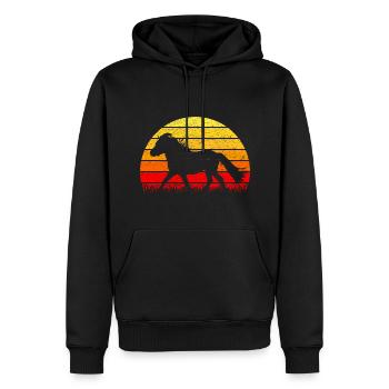 Shetlandpony Shetland Pony Sonnenaufgang - Männer Premium Bio Hoodie - Schwarz - Vorne - Nico (187cm)