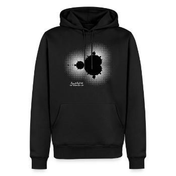 Fraktal The Mandelbrot Set Mathe Formel auf Weiss - Männer Premium Bio Hoodie - Schwarz - Vorne - Nico (187cm)