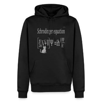 Schrödinger equation - Men’s Premium Organic Hoodie - black - Front - Nico (187cm)