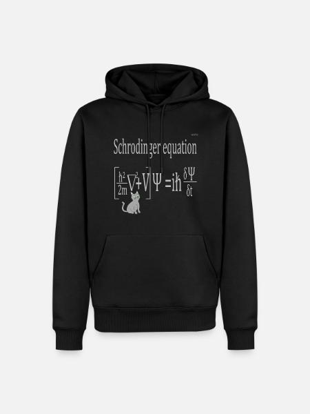 Schrödinger equation - Men’s Premium Organic Hoodie - black