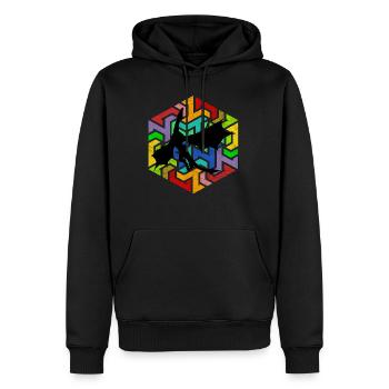 Dragon mythologie dragon - Sweat à capuche Premium bio Homme - noir - Devant - Nico (187cm)