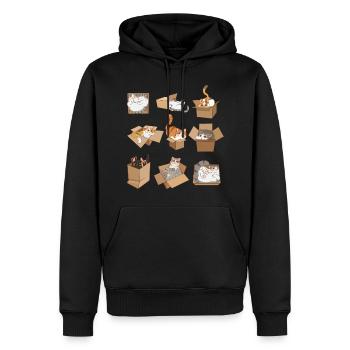 Cats in Boxes - Men’s Premium Organic Hoodie - black - Front - Nico (187cm)