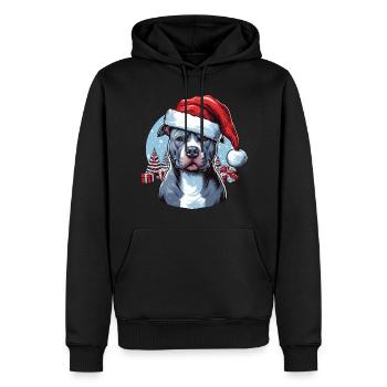 Pitbull Weihnachtsgeschenke - Männer Premium Bio Hoodie - Schwarz - Vorne - Nico (187cm)