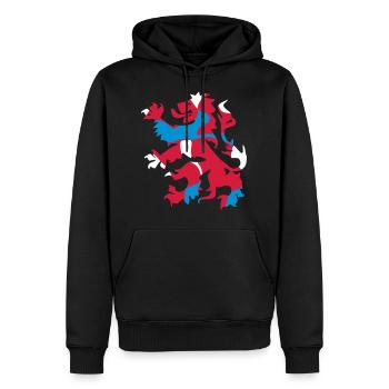 Netherlands Nederland LION Leeuw - CAMOUFLAGE - Men’s Premium Organic Hoodie - black - Front - Nico (187cm)