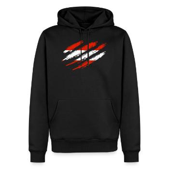 Österreich Flagge Austria Kratzer Cut Kratzspuren - Männer Premium Bio Hoodie - Schwarz - Vorne - Nico (187cm)