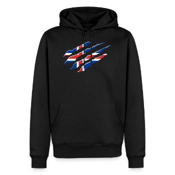 Islande Drapeau Rayures Pavillon islandais Patrie - Sweat à capuche Premium bio Homme - noir - Devant - Nico (187cm)