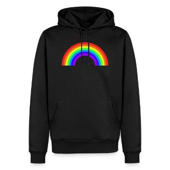 Arc-en-ciel grand - Sweat à capuche Premium bio Homme - noir - Devant - Nico (187cm)