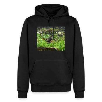 A Starling In the Crisp Morning Sun - Men’s Premium Organic Hoodie - black - Front - Nico (187cm)