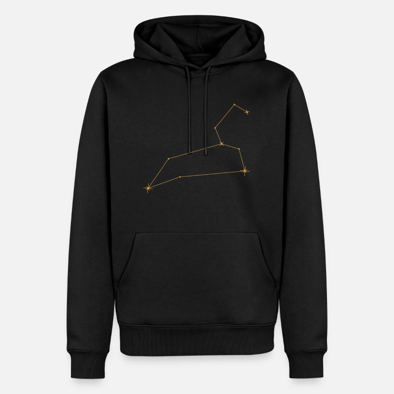 Sternbild loewe - Männer Premium Bio Hoodie - Schwarz