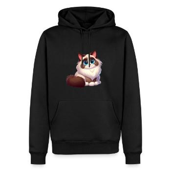 Ragdoll 14 - Männer Premium Bio Hoodie - Schwarz - Vorne - Nico (187cm)