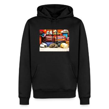 Colorful cat - Sweat à capuche Premium bio Homme - noir - Devant - Nico (187cm)