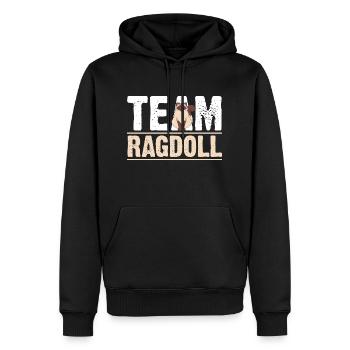 Ragdoll Cat Cat - Sweat à capuche Premium bio Homme - noir - Devant - Nico (187cm)