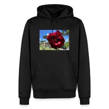 Rote Rose im Rosengarten an einem sonnigen Tag - Männer Premium Bio Hoodie - Schwarz - Vorne - Nico (187cm)